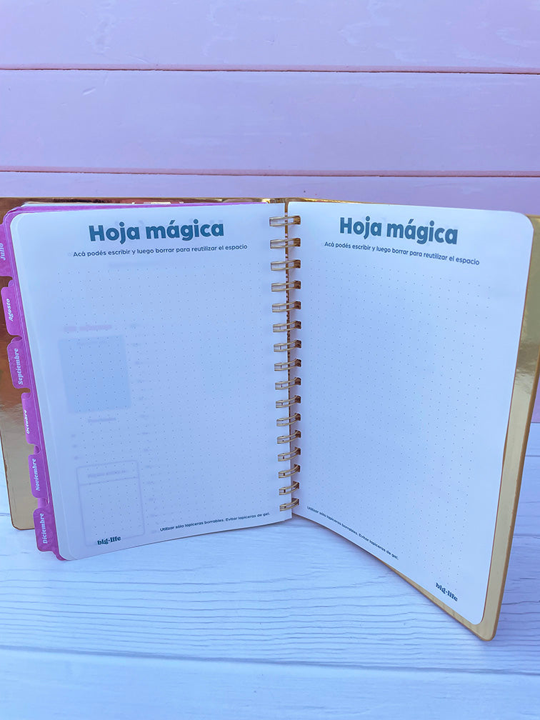 Agenda Diaria Dorada Big Life 16x21 cm