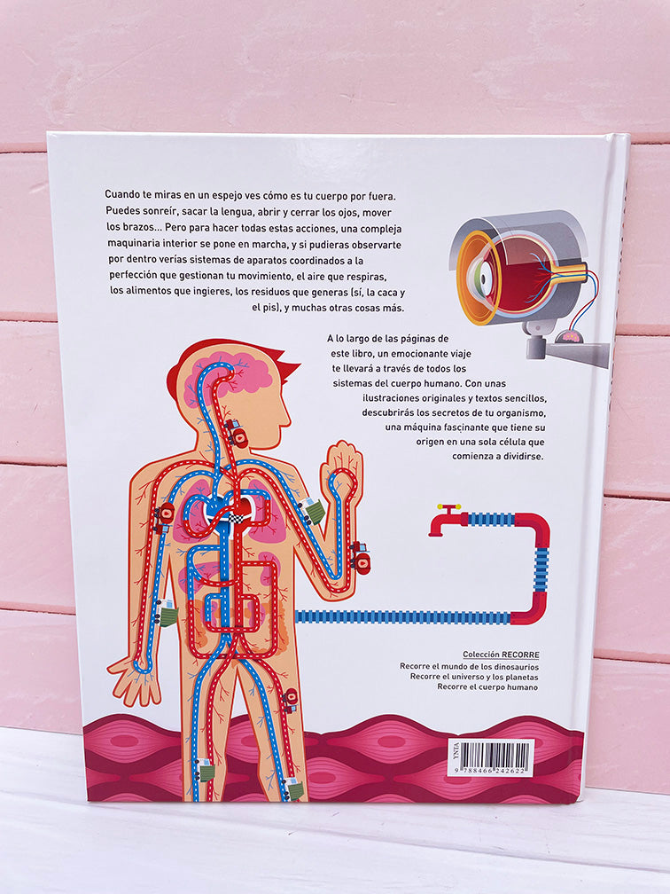 Libro Educativo e Ilustrado sobre el Cuerpo Humano