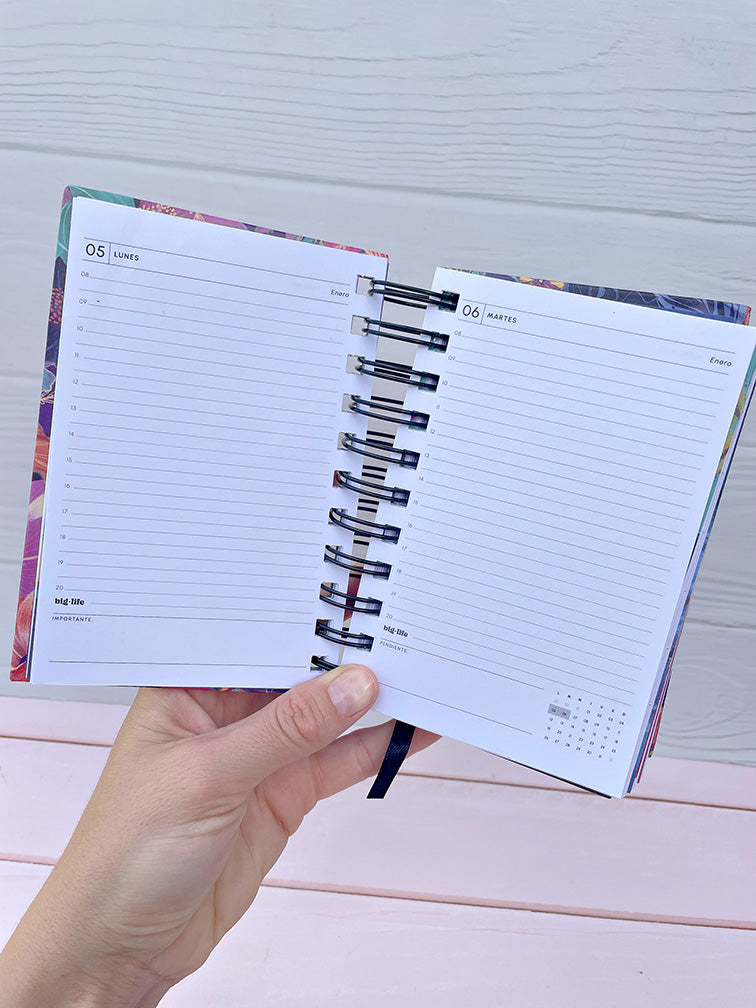 Agenda Diaria Big Life Pocket 2026