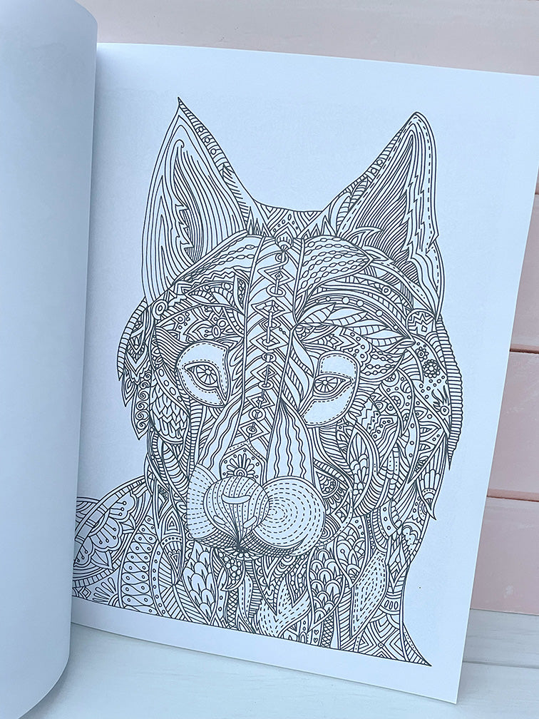 Libro para pintar Colorterapia