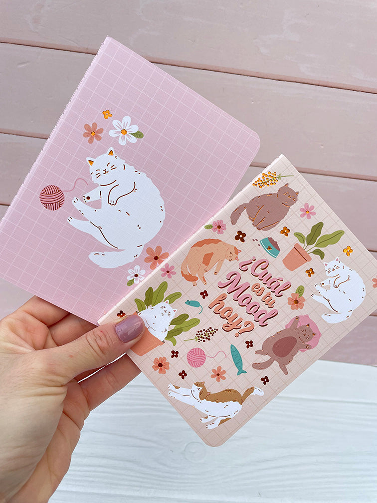 Set de 2 Libretitas A6