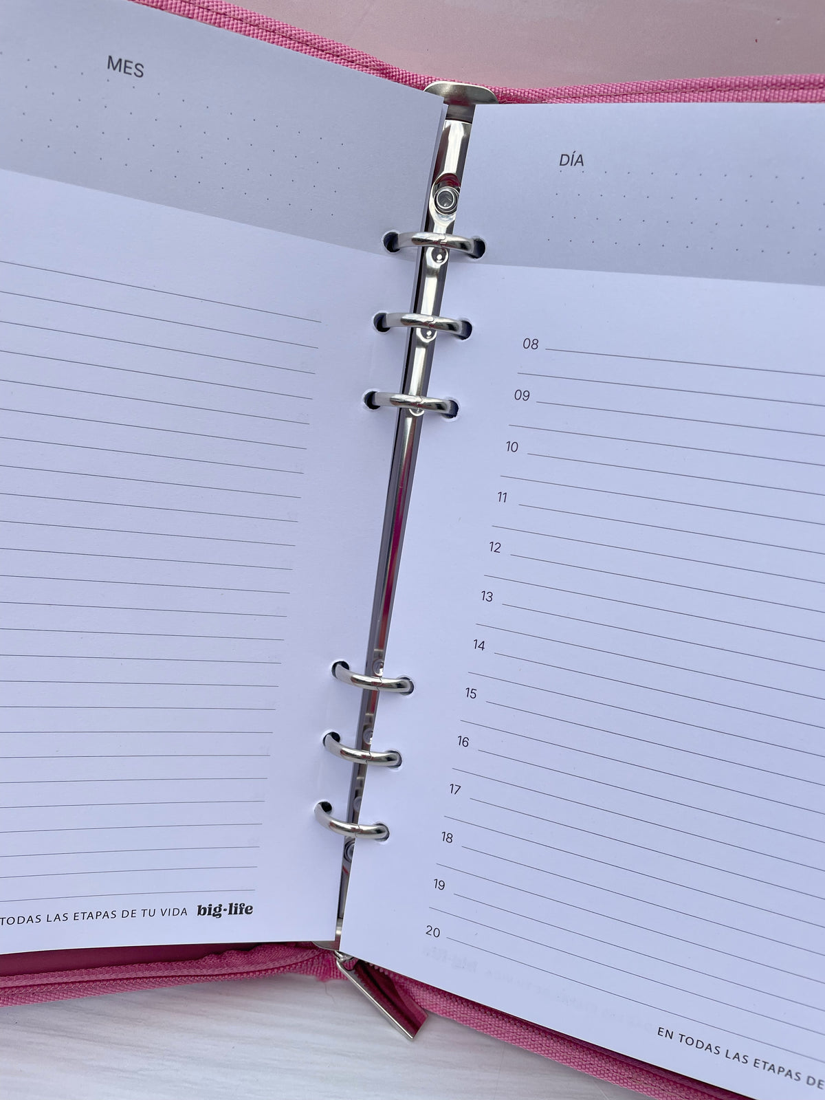 Planner Perpetuo con Estuche Big Life
