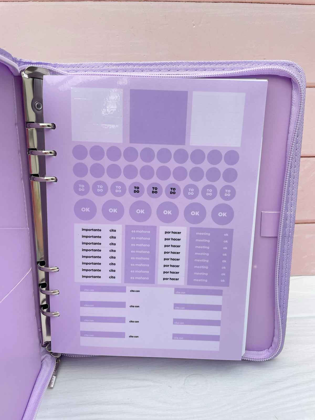 Planner Perpetuo con Estuche Big Life