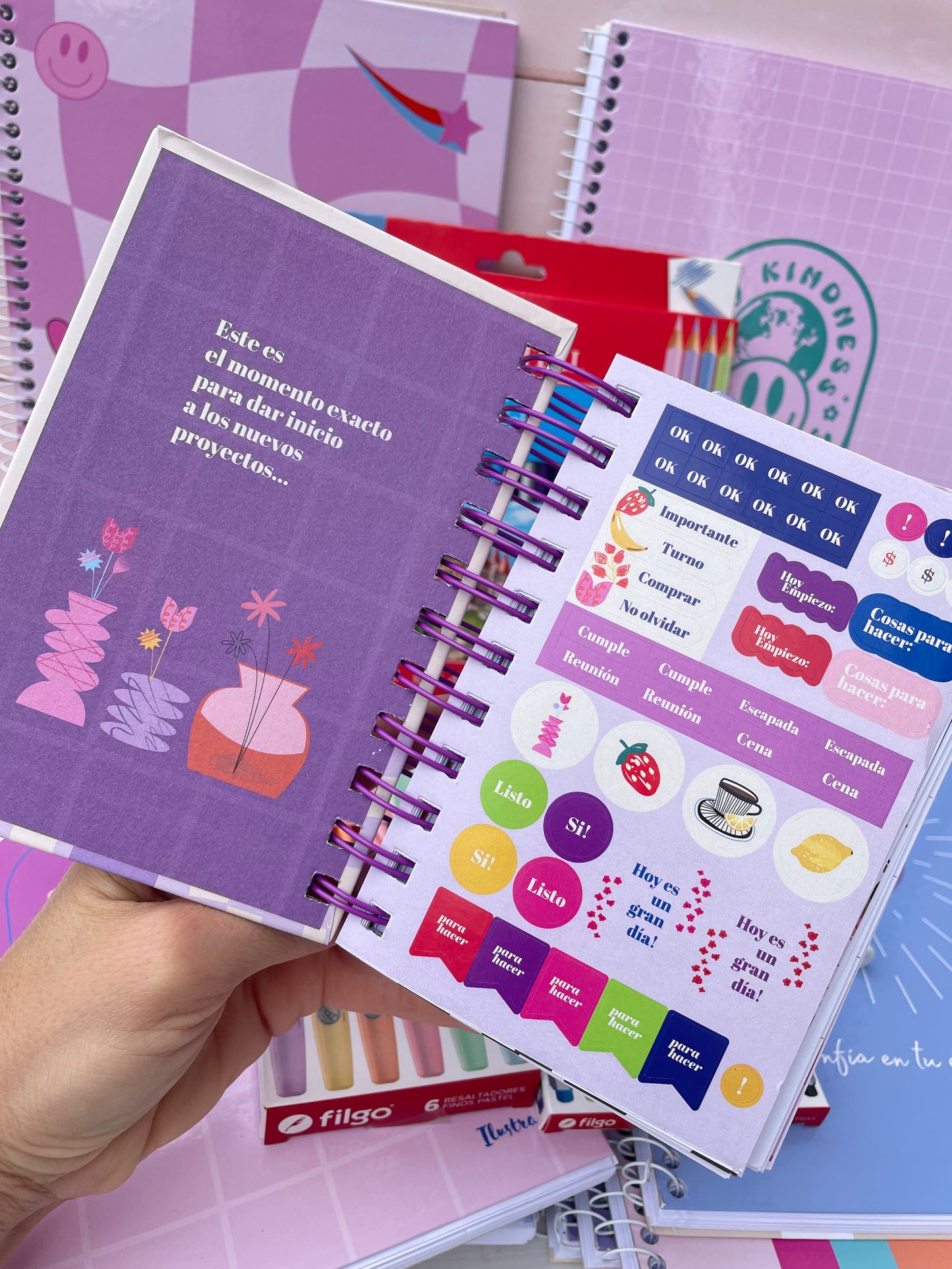 Combo Liceal con 10 Cuadernolas + Agenda DE REGALO