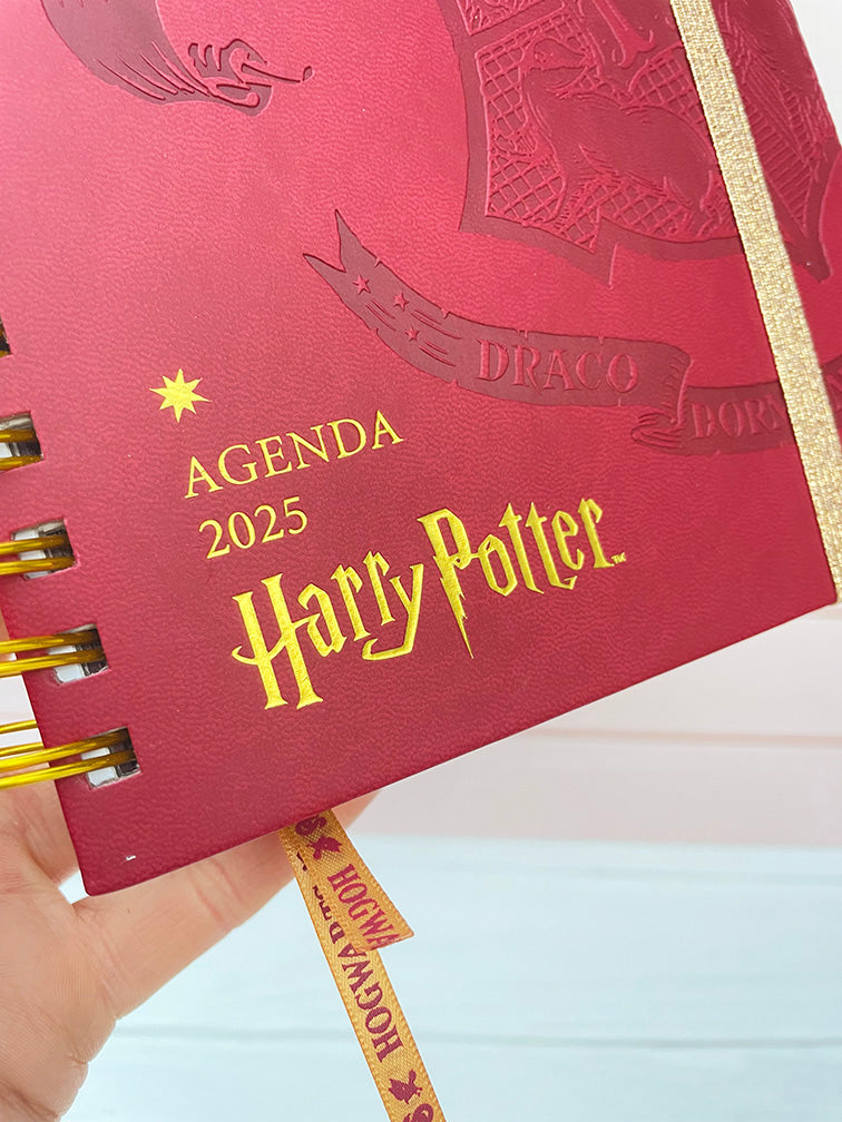 Agenda 2025 Harry Potter