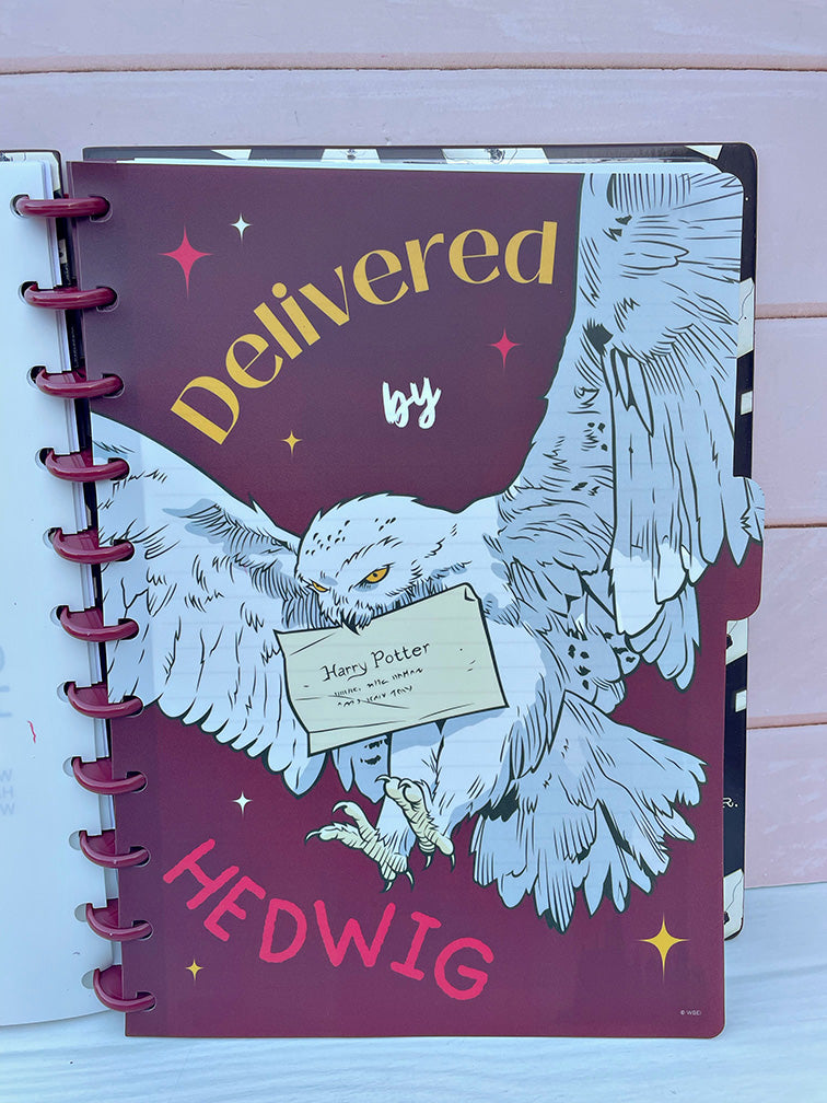 Cuadernola de Discos Harry Potter