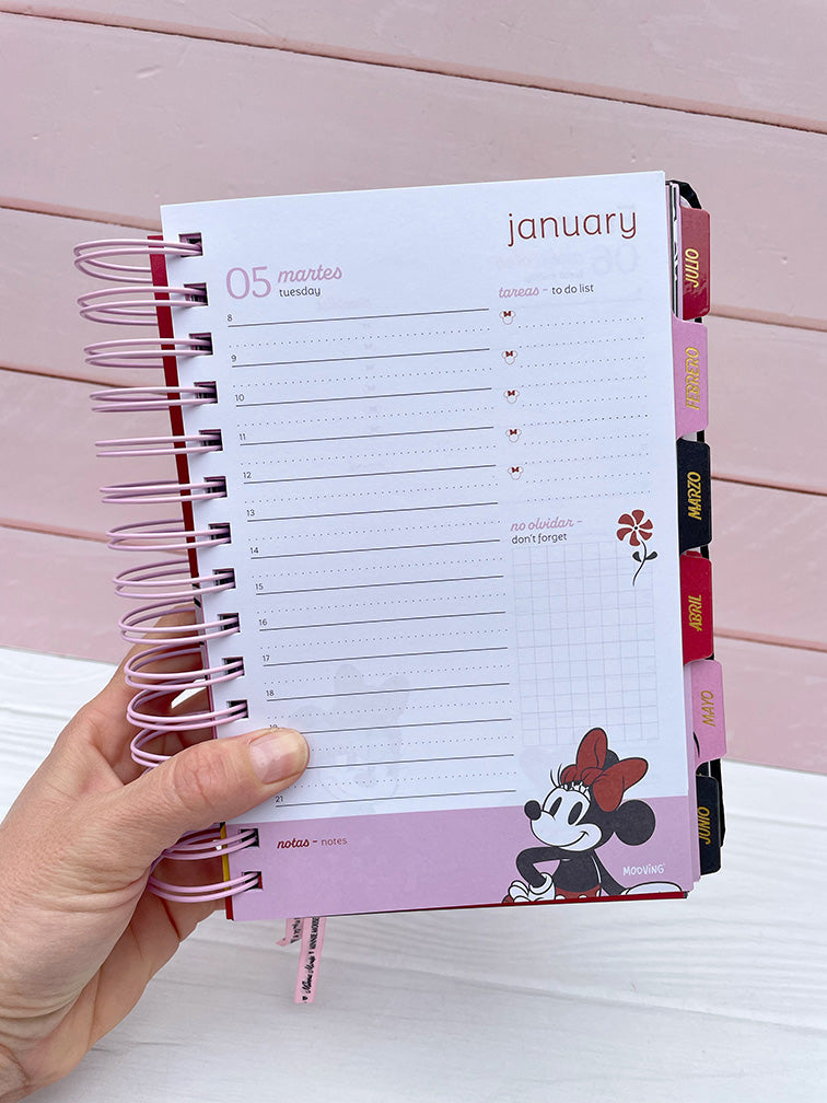 Agenda Minnie Diaria Mooving 2027