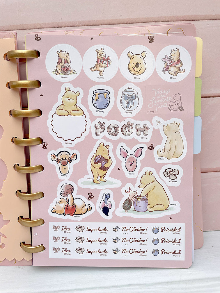 Cuaderno de Discos Winnie Pooh