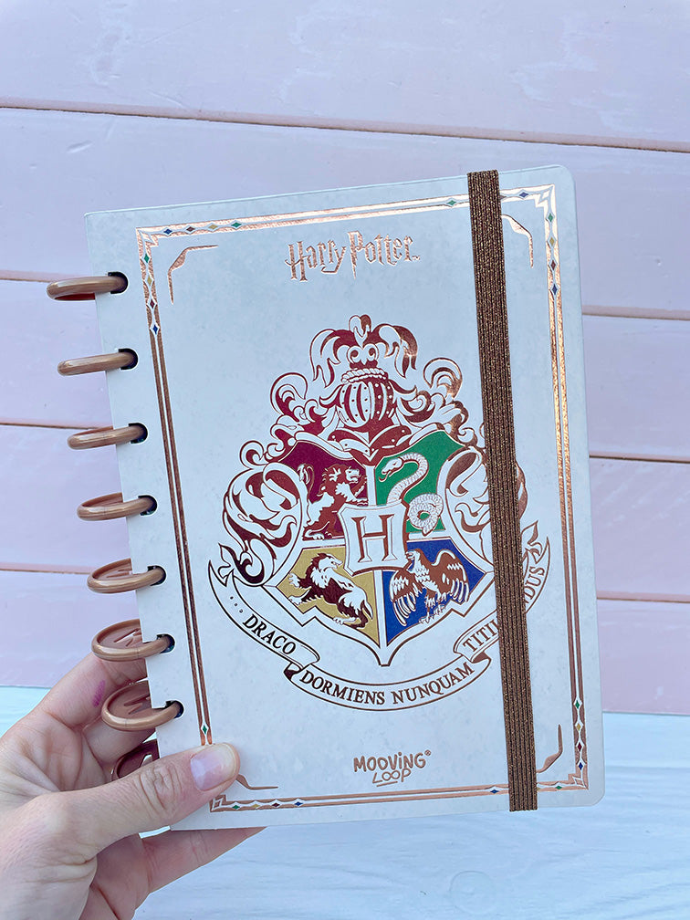 Cuaderno de Discos Harry Potter