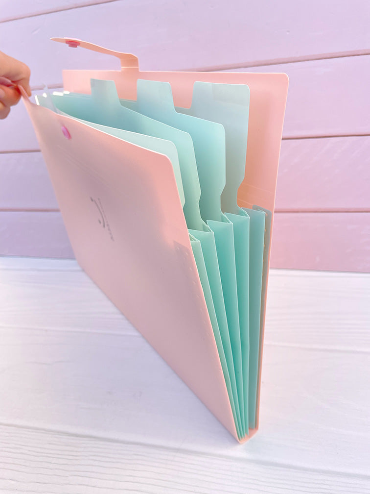 Carpeta Plástica con 5 Divisiones :)