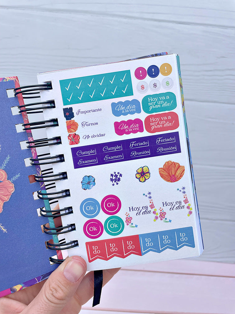 Agenda Diaria Big Life Pocket 2026