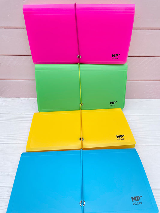 Carpeta ara Recibos con 12 Divisiones